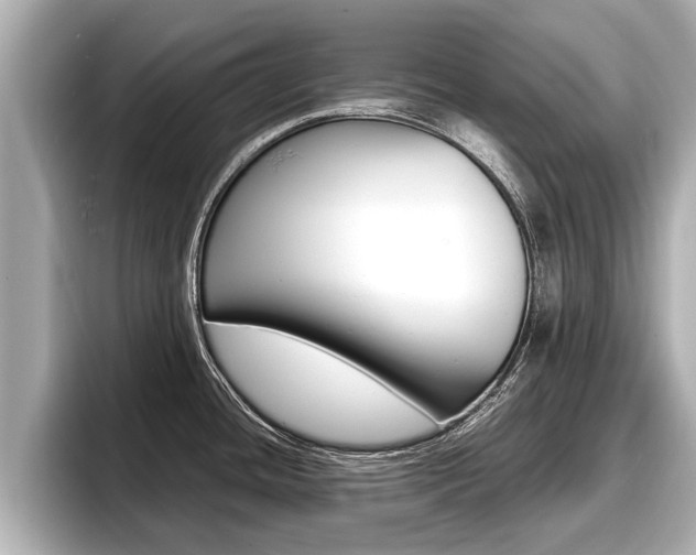X0000096671436200802051001