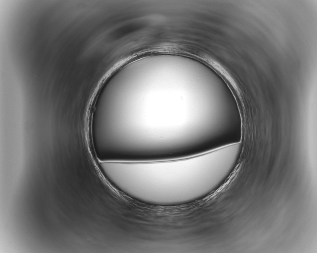 X0000096671437200802051001