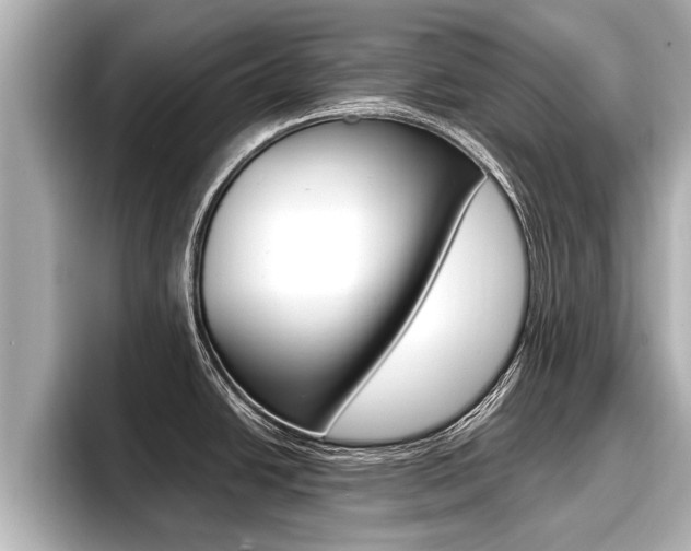X0000096671438200802051001
