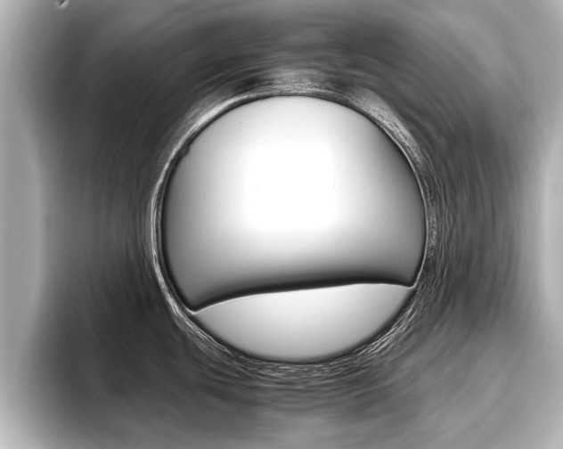 X0000096671439200802051001