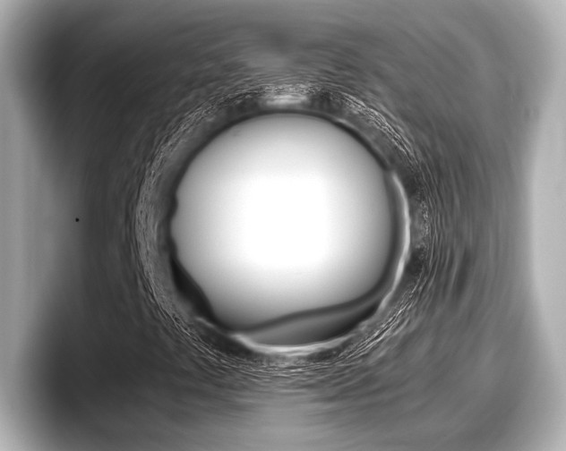 X0000096671441200802051000
