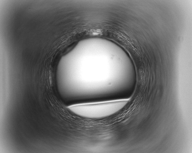 X0000096671442200802051000