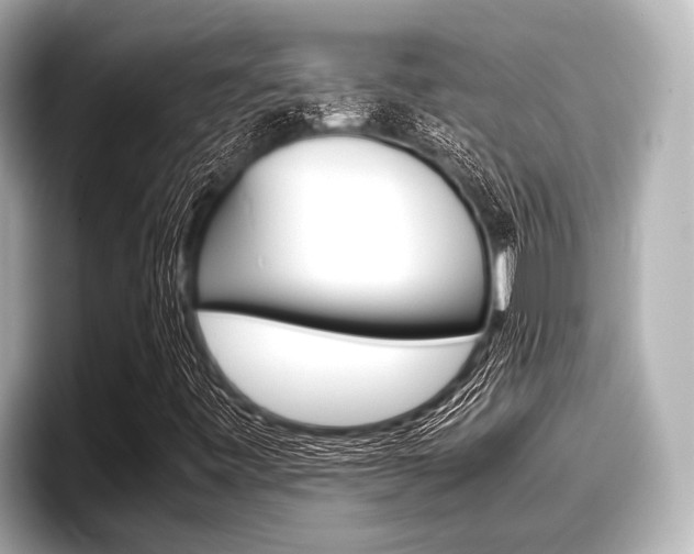 X0000096671443200802051000