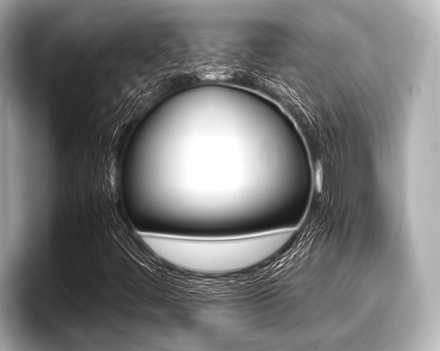 X0000096671444200802051000