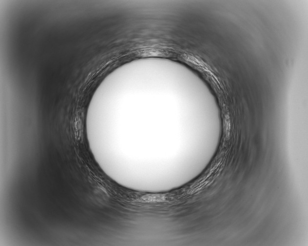 X0000096671446200802051000