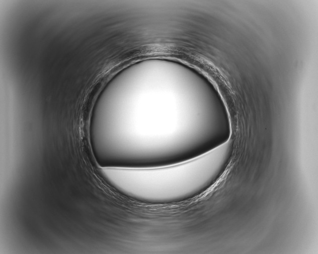 X0000096671449200802051000