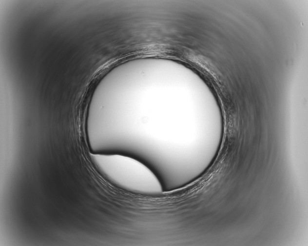 X0000096671451200802051000