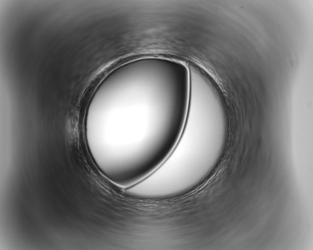 X0000096671452200802051000