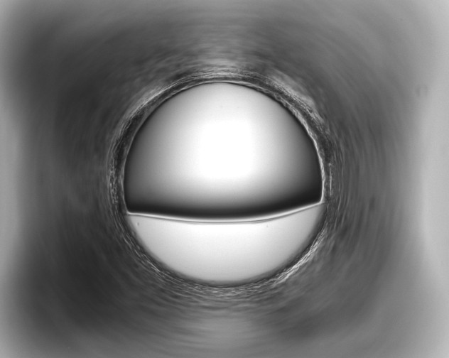 X0000096671453200802051000