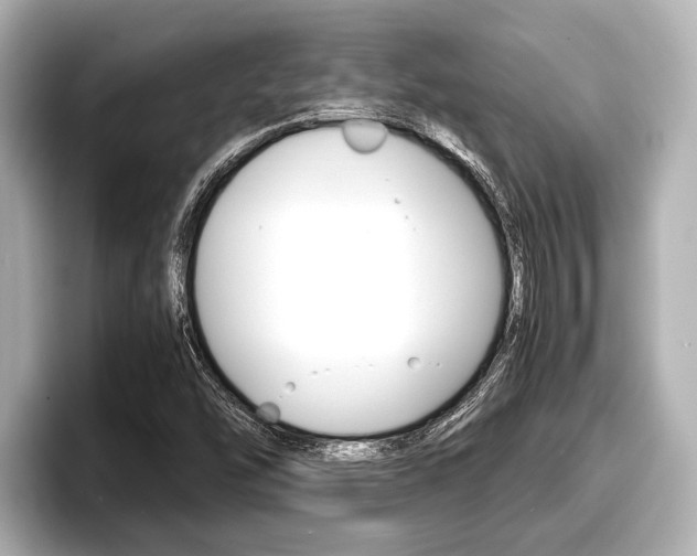 X0000096671454200802051000