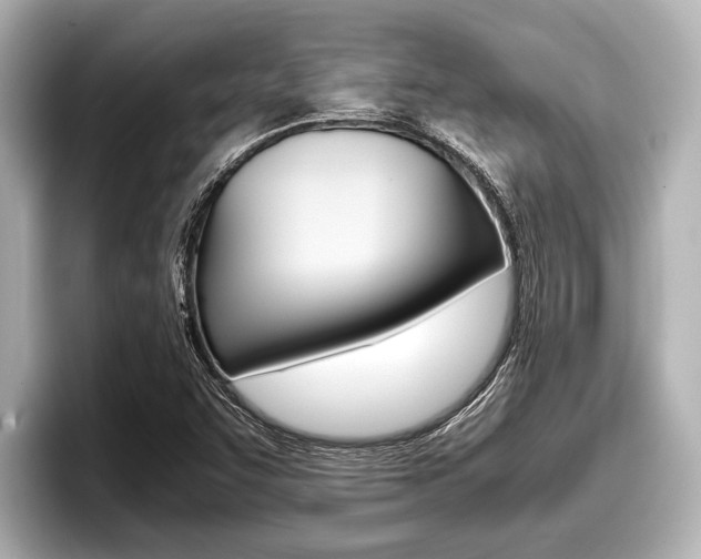 X0000096671455200802051000