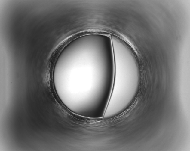 X0000096671456200802051000