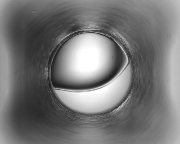 X0000096671457200802051000