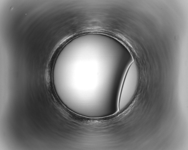 X0000096671458200802051000