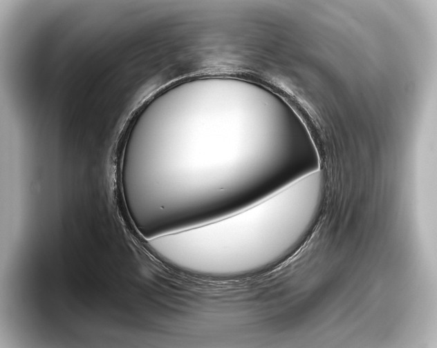 X0000096671459200802051000
