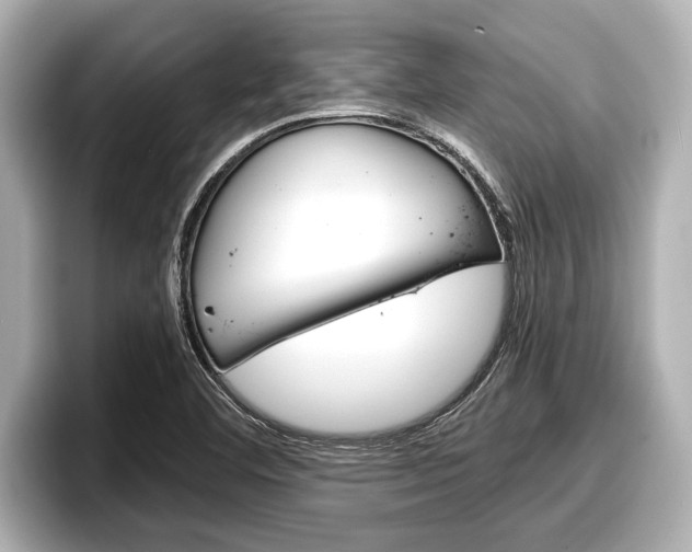 X0000096671460200802051000