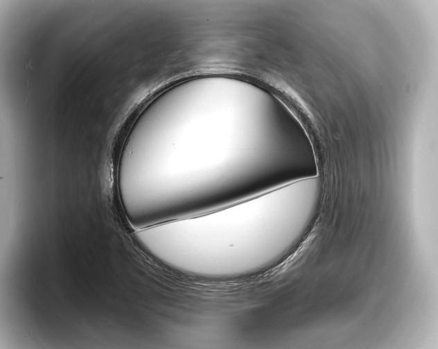 X0000096671461200802051000