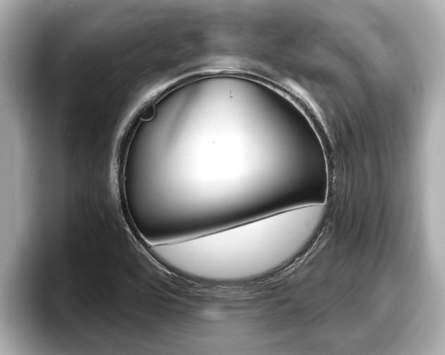 X0000096671464200802051000