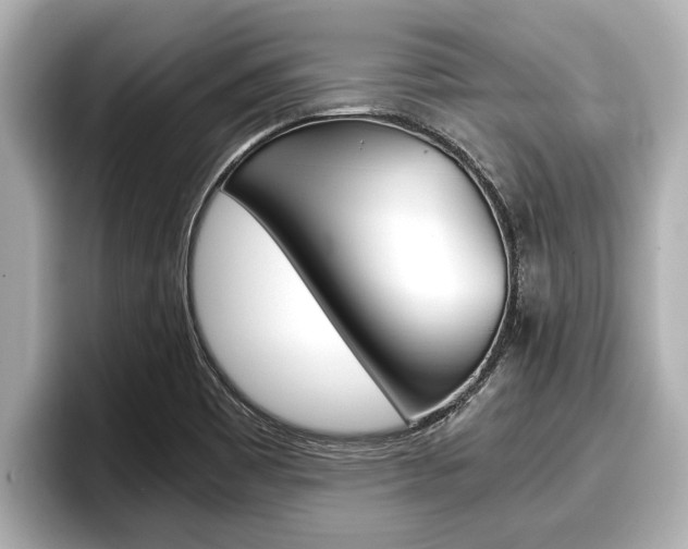 X0000096671465200802051000