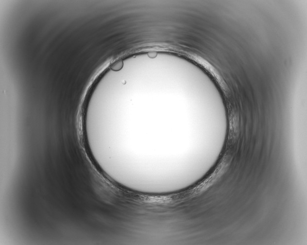 X0000096671466200802051000