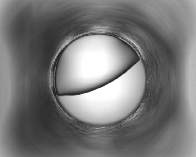 X0000096671467200802051000