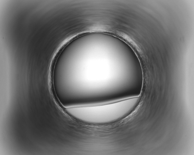 X0000096671469200802051000