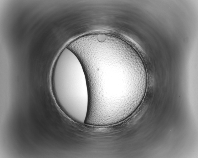 X0000096671471200802051000