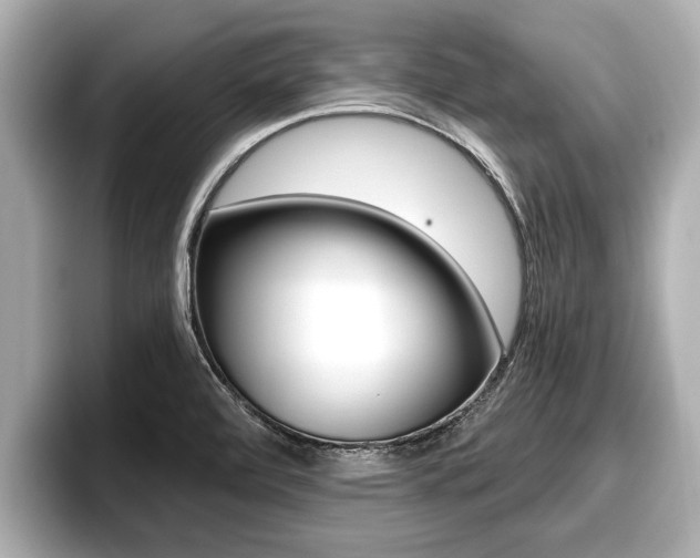 X0000096671472200802051000