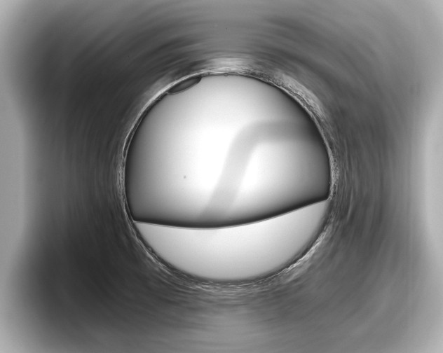 X0000096671473200802051000