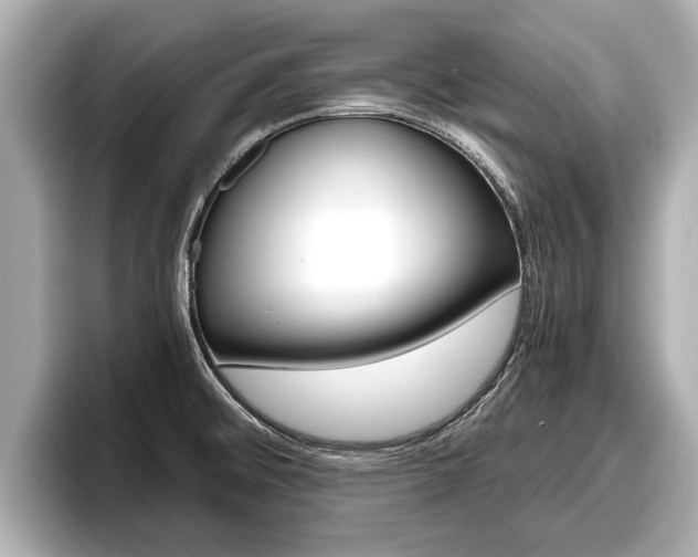 X0000096671476200802051000