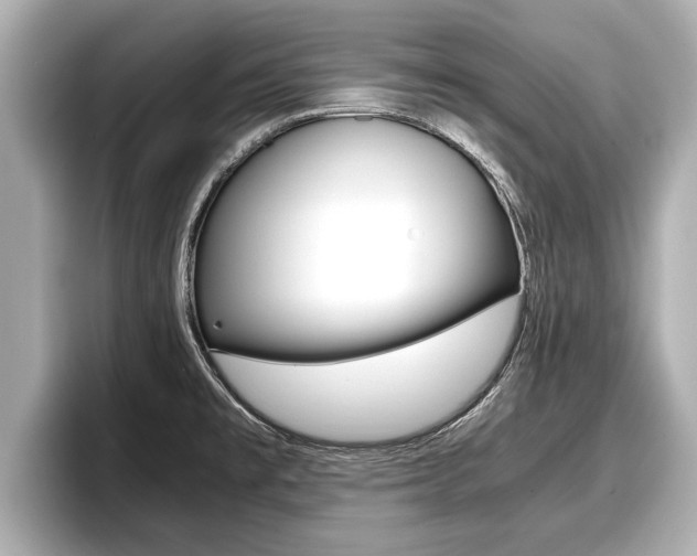 X0000096671477200802051000