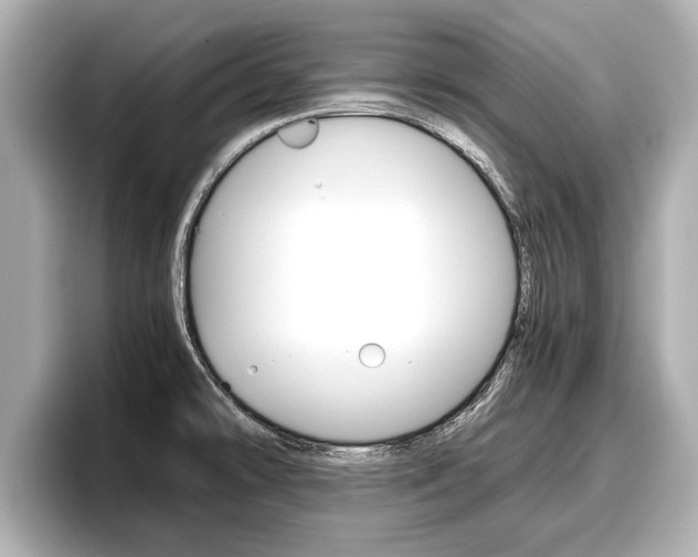 X0000096671478200802051000