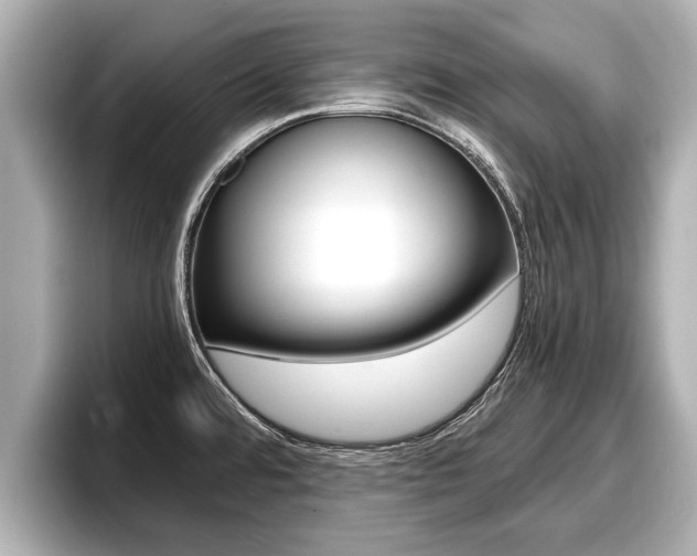 X0000096671480200802051000
