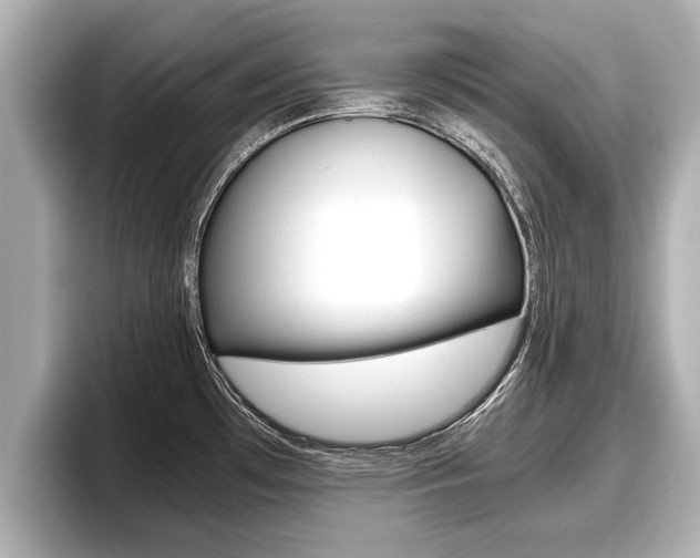 X0000096671481200802051000