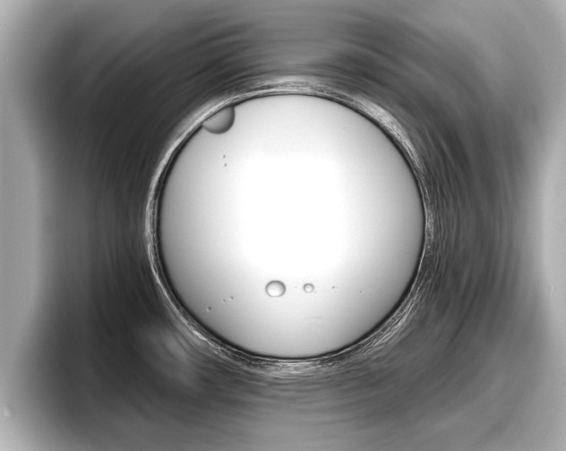 X0000096671482200802051000