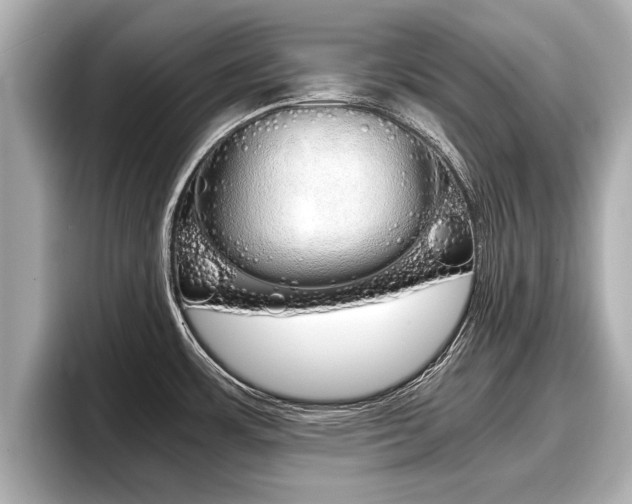 X0000096671483200802051000