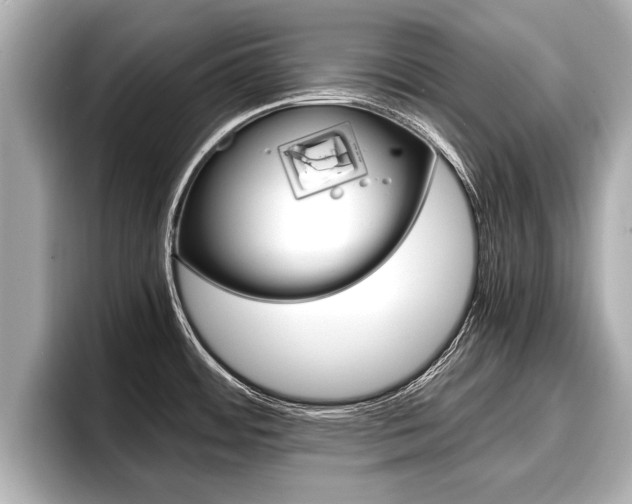 X0000096671484200802051000