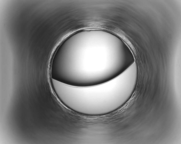 X0000096671485200802051000