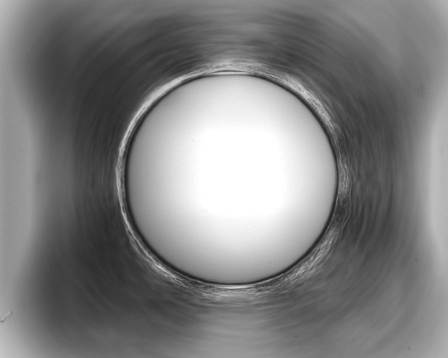 X0000096671486200802051000