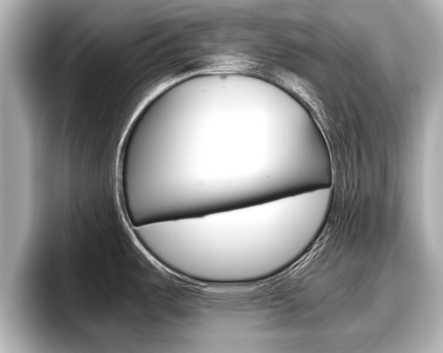 X0000096671487200802051000