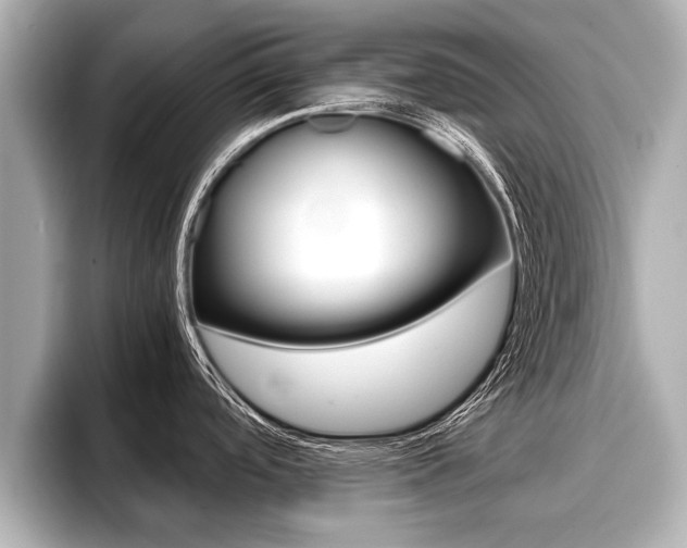 X0000096671488200802051000