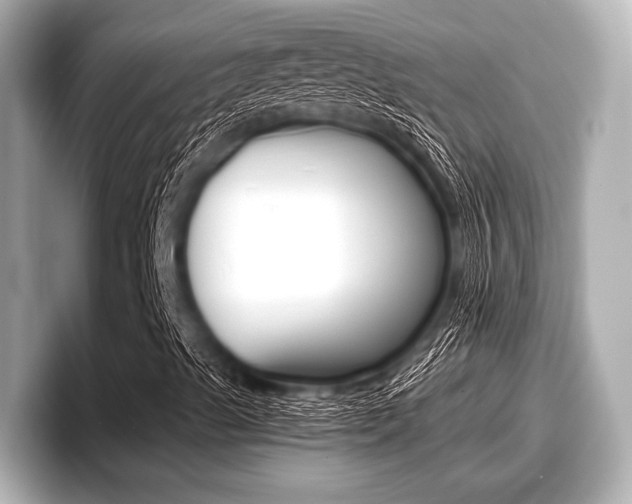 X0000096671489200802050959