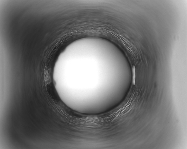X0000096671491200802050959