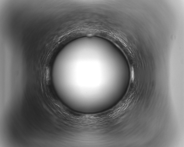 X0000096671492200802050959