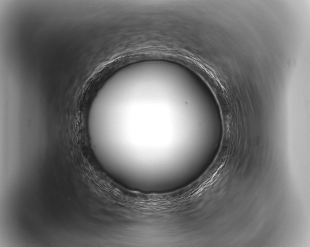 X0000096671494200802050959