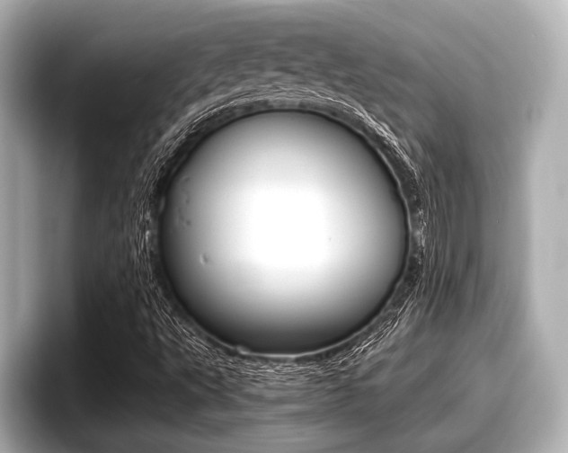 X0000096671495200802050959