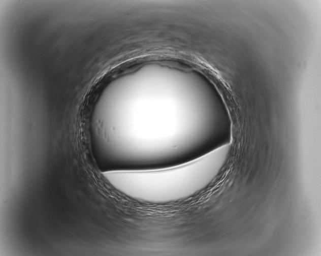 X0000096671496200802050959