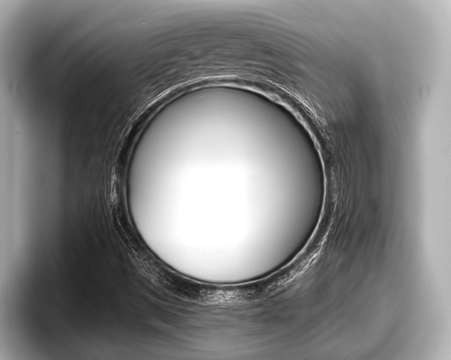 X0000096671497200802050959