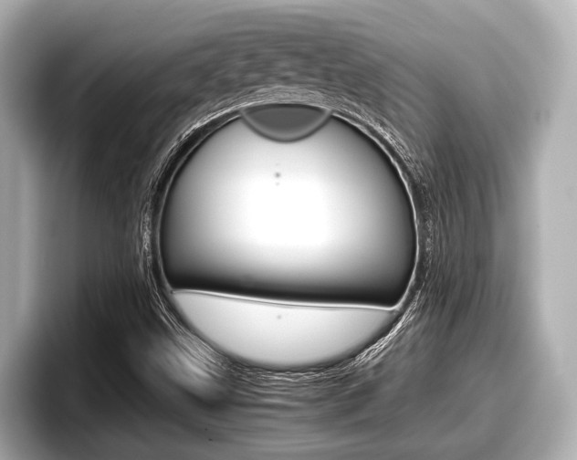 X0000096671499200802050959