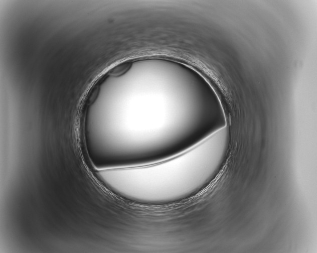 X0000096671500200802050959